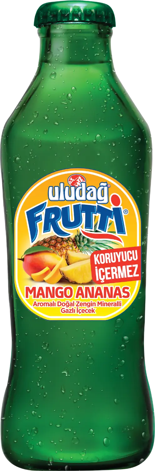 Uludağ Frutti Mango-Ananas 200 ml